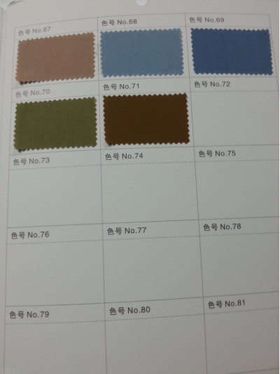 GZ- LEEN  C70% N27% SP3% L58011 細節-2